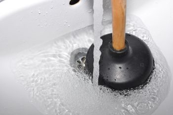 drain cleaning olympia